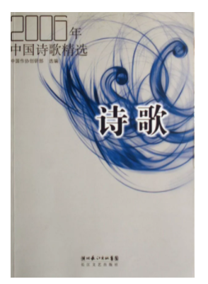 诗歌(2006年中国诗歌精选)